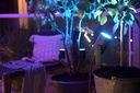 white-and-colour-ambiance-lily-outdoor-extension-led-intergrated-8w-anthracite-ip65-17-833ead524a2e79b32d981e7c92074f87.jpg
