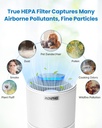 air-purifier-for-home-5-stage-filtration-true-hepa-activated-carbon-filter-compact-quiet-air-cleaner-3-timers-child-lock-night-light-removes-99-97-of-allergies-smoke-pollen-pet-dander-06-1f36f00784e0a3f87d1fc3abf9e0d4fa.jpg