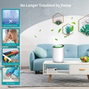 dehumidifier-quiet-and-portable-dehumidifier-electric-600ml-for-small-rooms-bathroom-bedroom-wardrobe-room-closet-crawl-space-white-02-3c5332010482274ee6e0c2f6751620b3.jpg