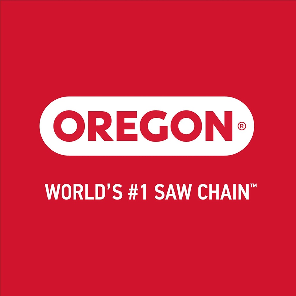 oregon-chainsaw-chain-sharpening-kit-with-hard-case-contains-files-handles-depth-gauge-stump-vise-felling-wedge-and-more-accessories-06-Oregon_Chainsaw_Chai_da7e751f8e6810a7c3725ac234c5ae6f.jpg