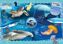 clementoni-27141-national-geographic-kids-104pc-puzzle-ocean-explorer-02-Clementoni_27141_Nat_23ca173c660a9d00e4a055f35697e136.jpg