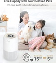 hepa-air-purifier-dreamegg-air-purifiers-for-bedroom-allergies-and-pets-4-in-1-true-hepa-and-activated-carbon-filter-quiet-360-air-intake-cleaner-with-pet-mode-night-light-for-home-smoker-office-04-HEPA_Air_Purifier_Dr_03e7b5645814ce49dcfc824cf48cea2c.jpg