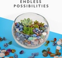 national-geographic-premium-polished-stones-5-pounds-of-1-2-inch-tumbled-stones-and-crystals-bulk-arts-and-crafts-rock-and-mineral-kit-rocks-for-kids-stem-toys-05-NATIONAL_GEOGRAPHIC__7129ae6ce44a383ccefbe0e2314b8fca.jpg