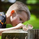 byncceh-break-open-4-premium-geodes-discover-crystal-treasure-hidden-inside-these-rocks-great-stem-science-toy-and-educational-gift-for-kids-03-Byncceh_Break_Open_4_2d1c450fa179d9e292249b65a1571c48.jpg