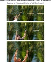 ninja-obstacle-course-line-kit-40-039-slackline-8-hanging-obstacles-with-adjustable-buckles-tree-protectors-instruction-booklet-carry-bag-capacity-300lbs-outdoor-backyard-fun-for-kids-adults-family-08-Ninja_Obstacle_Cours_3676fa4691d62359f64e3102efcc567e.jpg