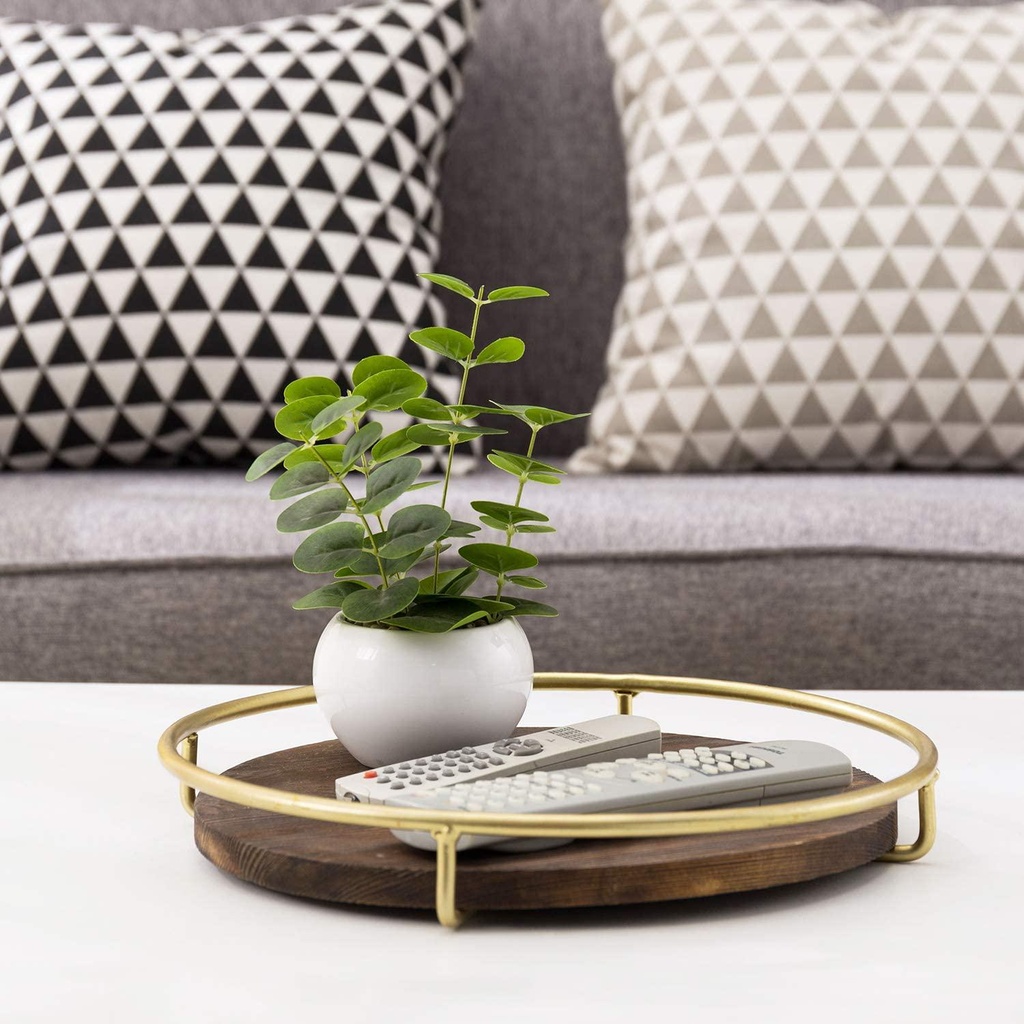 mygift-12-inch-burnt-wood-decorative-tray-with-vintage-brass-metal-wire-frame-round-display-coffee-table-serving-tray-03-MyGift_12_Inch_Burnt_cf74e59c90a8e57a10486015fa96015e.jpg