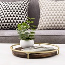 mygift-12-inch-burnt-wood-decorative-tray-with-vintage-brass-metal-wire-frame-round-display-coffee-table-serving-tray-03-MyGift_12_Inch_Burnt_cf74e59c90a8e57a10486015fa96015e.jpg