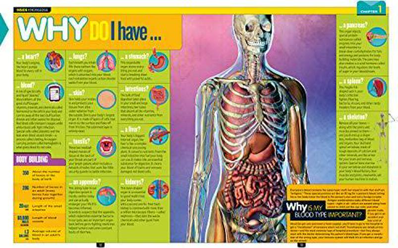 national-geographic-kids-why-over-1-111-answers-to-everything-1-02-National_Geographic__2601bce75c6a226cffd656e7e1f3e81c.jpg