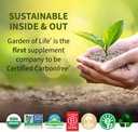 garden-of-life-meal-replacement-organic-raw-plant-based-protein-powder-vanilla-vegan-gluten-free-34-2oz-969g-powder-06-Garden_of_Life_Meal__63e98fc4f1653e590143cd796b6acd88.jpg