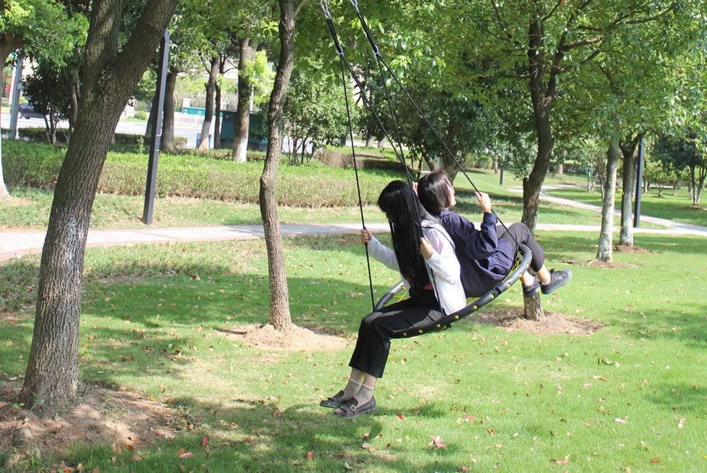 24or-40-disc-giant-nest-web-net-tree-swing-monkey-rope-hanging-swing-seat-sets-heavy-duty-for-garden-backyard-outdoor-for-kids-children-adult-by-hi-suyi-07-24or_40_Disc_Giant_N_9a7022c98dd2af2bef595d70ba42ea8f.jpg