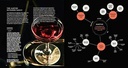 cocktail-codex-fundamentals-formulas-evolutions-a-cocktail-recipe-book-04-Cocktail_Codex_Funda_b6ab12d5d52012da577d5f6b3500bdad.jpg