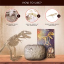 buddy-n-buddies-dinosaur-fossil-excavation-kits-children-039-s-popular-science-education-toystyrannosaurus-03-Buddy_N_Buddies_Dino_935cb44a7f04b2bd9e4d4e447f13751c.jpg