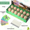 dinosaur-eggs-excavation-dig-kit-dinosaur-toys-for-kids-break-open-12-dinosaur-eggs-and-discover-12-cute-dinosaurs-archaeology-preschool-science-stem-crafts-birthday-gifts-for-boys-girls-02-Dinosaur_Eggs_Excava_a4ec8f38c2089671f5720f49599f568e.jpg