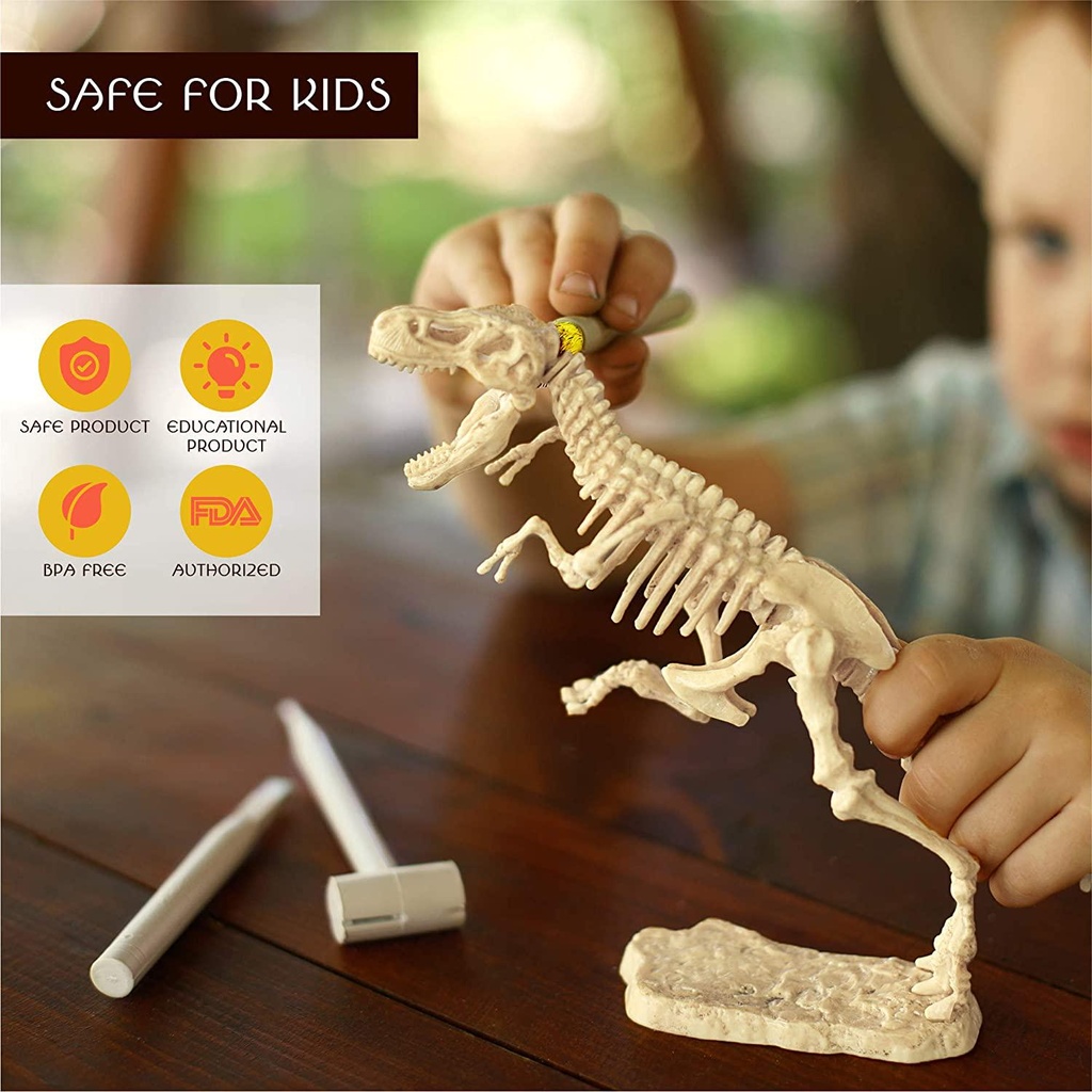 buddy-n-buddies-dinosaur-fossil-excavation-kits-children-039-s-popular-science-education-toystyrannosaurus-05-Buddy_N_Buddies_Dino_ffe7ab205d49d1c0a5f83dfbb250604f.jpg