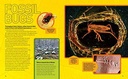 ultimate-bugopedia-the-most-complete-bug-reference-ever-national-geographic-kids-03-Ultimate_Bugopedia_T_02ebb68e28e5f81ece94130337fcb8f8.jpg