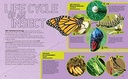 ultimate-bugopedia-the-most-complete-bug-reference-ever-national-geographic-kids-04-Ultimate_Bugopedia_T_c47cbcb9ea7734987e803b39b6f857b6.jpg