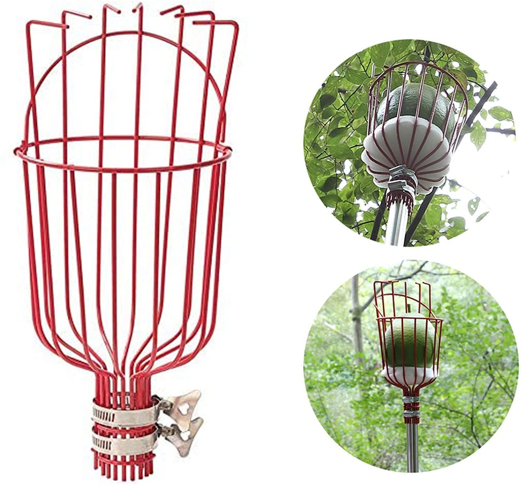 diig-fruit-picker-8-foot-fruit-picker-tool-with-stainless-steel-connecting-pole-fruit-picking-equipment-for-getting-fruits-lemons-apples-guavas-avocados-pears-mangoes-oranges-citrus-04-diig_Fruit_Picker_8__6e29dd38d856f71f63985a307f33b465.jpg