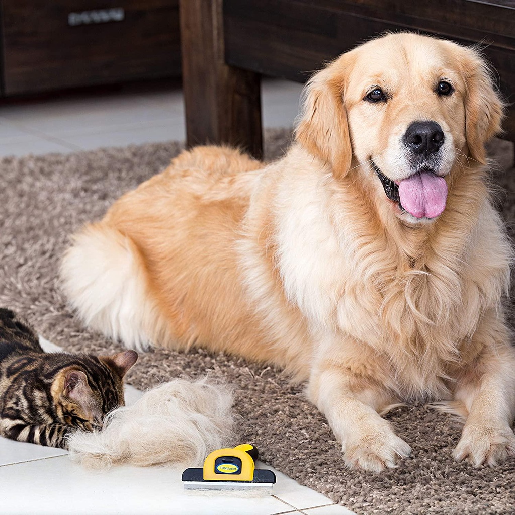 pet-grooming-brush-effectively-reduces-shedding-by-up-to-95-professional-deshedding-tool-for-dogs-and-cats-09-Pet_Grooming_Brush_E_2a8fc4fd1f4d94e7d0e7144501a7812f.jpg