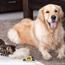 pet-grooming-brush-effectively-reduces-shedding-by-up-to-95-professional-deshedding-tool-for-dogs-and-cats-09-Pet_Grooming_Brush_E_2a8fc4fd1f4d94e7d0e7144501a7812f.jpg