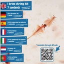 science4you-brine-shrimp-hatchery-kit-artemias-jurassic-sea-creatures-includes-artemias-brine-shrimp-eggs-and-small-fish-tank-create-an-ecosystem-with-sea-dragons-science-kit-for-kids-age-6-02-Science4you_Brine_Sh_a9e951d42f15050c96f5cb1821f1f3ae.jpg