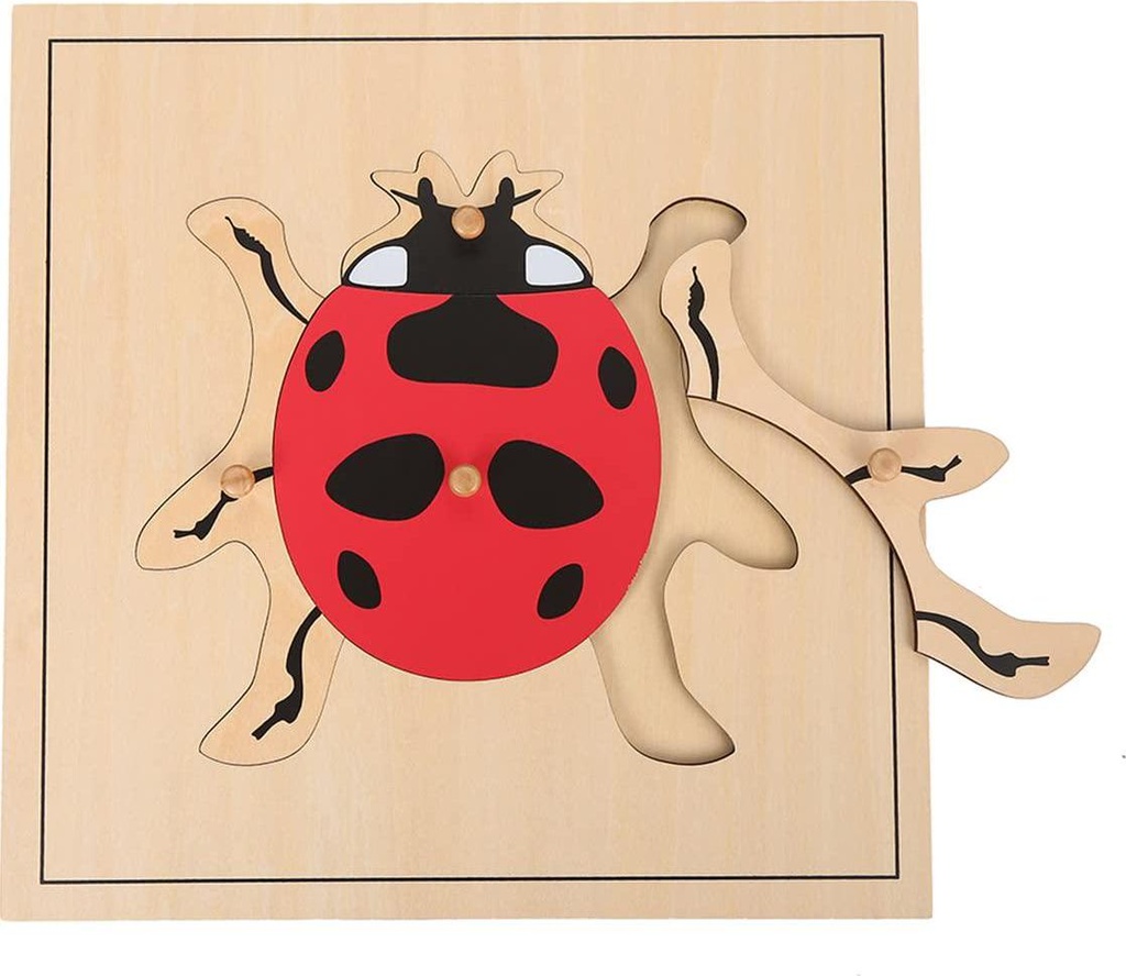 leader-joy-montessori-nature-materials-ladybug-puzzle-for-early-preschool-learning-toy-02-LEADER_JOY_Montessor_8b6df9fb16b513761aca05a72054f443.jpg