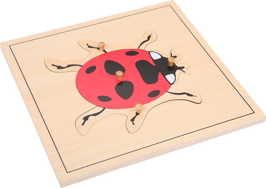 leader-joy-montessori-nature-materials-ladybug-puzzle-for-early-preschool-learning-toy-07-LEADER_JOY_Montessor_04e485fde0818248b4f4ae930dd604b7.jpg
