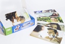 mkgames-action-50-photo-cards-learning-products-speech-therapy-for-kids-and-adults-encourages-language-development-communication-and-conversation-02-MKgames_Action_50_Ph_6aac64af42c0ea829c516a9db6e8e909.jpg