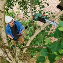 bosch-cordless-pruner-universalchainpole-18-battery-2-5-ah-18-volt-system-in-carton-packaging-05-Bosch_Cordless_Prune_8e4a2e5a1498e4a2017cdab288de7cc7.jpg