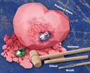 5-in-1-atlantis-treasure-kit-educational-digging-kit-for-kids-dig-and-discover-atlantean-artifacts-including-pearls-gems-sea-monsters-trilobites-and-spiny-ammonites-03-5_in_1_Atlantis_Trea_e4eba2512ebee3e88fb3f8bb49735d41.jpg