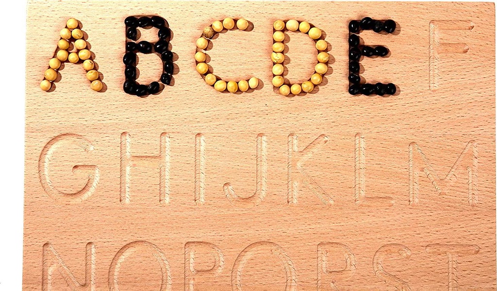 montessori-mama-alphabet-tracing-board-learn-to-write-letter-boards-educational-toys-preschool-learning-reversible-wooden-letters-alphabet-toys-08-Montessori_Mama_Alph_7c5330747142b0320c153020ff65415f.jpg