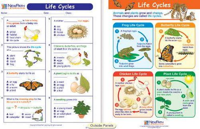 newpath-learning-10-piece-mastering-science-visual-learning-guides-set-grade-1-02-NewPath_Learning_10__a7443a3b2777c3ea443a8a29c55054ab.jpg