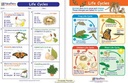 newpath-learning-10-piece-mastering-science-visual-learning-guides-set-grade-1-02-NewPath_Learning_10__a7443a3b2777c3ea443a8a29c55054ab.jpg