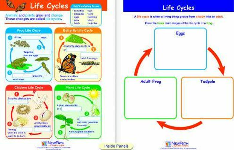 newpath-learning-10-piece-mastering-science-visual-learning-guides-set-grade-1-03-NewPath_Learning_10__bdedafc9be5b6da29c7e053509bb99ab.jpg