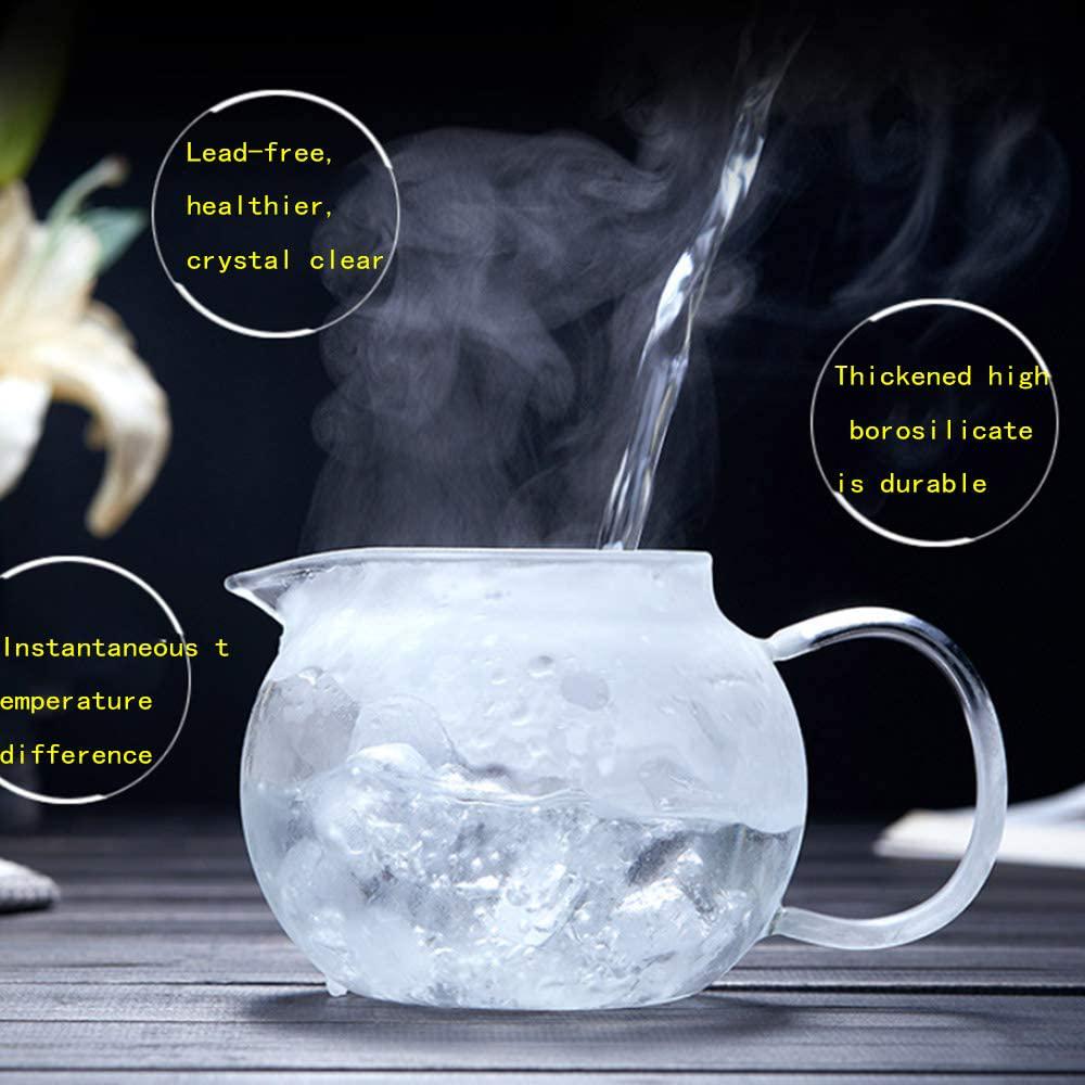 safe-lead-free-glass-teapot-kettle-33-oz-1-l-capacity-removable-stainless-steel-infuser-great-forblooming-and-loose-leaf-tea-brewer-06-Safe_Lead_Free_Glass_16249ba3c00b230afe356188a5309799.jpg