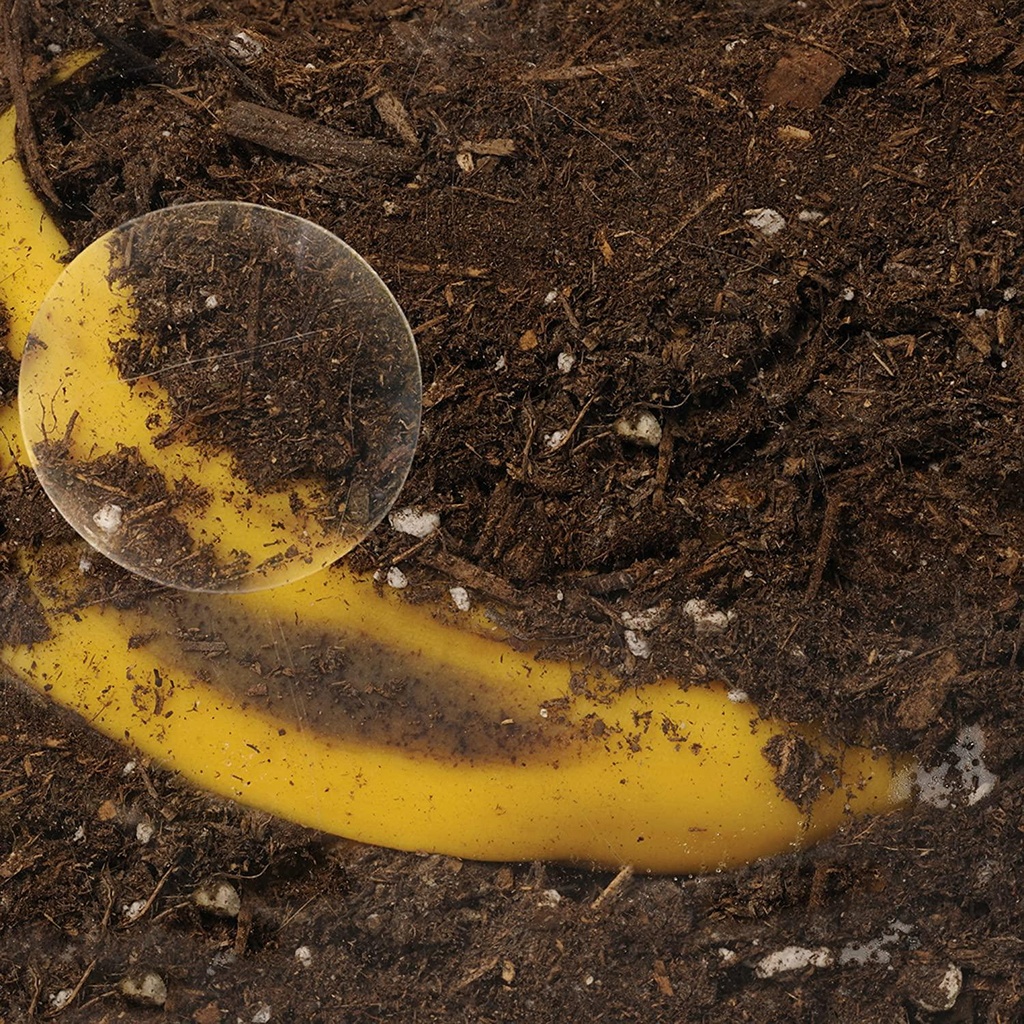 educational-insights-now-you-see-it-now-you-don-039-t-see-through-compost-container-04-Educational_Insights_30e9f6cff699dc1316433eddc4ec0d27.jpg