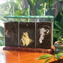 educational-insights-now-you-see-it-now-you-don-039-t-see-through-compost-container-06-Educational_Insights_5ff95ae3c95634ac0731d3a54207eafd.jpg