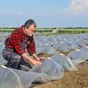 32-piece-clamp-for-pvc-pipe-greenhouses-row-covers-shelters-bird-protection-04-8ce7e03ba8173de92f412e0889e36e88.jpg