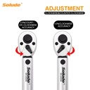 solude-1-4-bike-torque-wrench-set-bicycle-maintenance-kit-for-road-mountain-bikes-2-24nm-06-9f360156560b77eb7f1bba77f80c2b6d.jpg