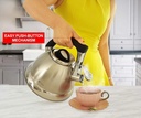 pykal-whistling-tea-kettle-with-icool-handle-and-2-free-infusers-stainless-steel-teapot-silver-03-6cbdae73b7d400f5d459eeffac7e66b3.jpg