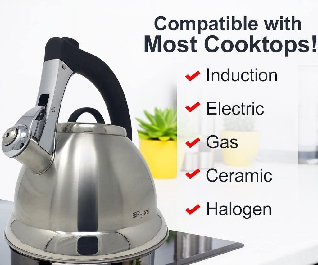 pykal-whistling-tea-kettle-with-icool-handle-and-2-free-infusers-stainless-steel-teapot-silver-04-72657e98-1ffb-40c8-b4ed-e260b2bbcc7c.9c5fece7226c9d8a0eb520ae878d2f28.jpg