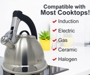 pykal-whistling-tea-kettle-with-icool-handle-and-2-free-infusers-stainless-steel-teapot-silver-04-72657e98-1ffb-40c8-b4ed-e260b2bbcc7c.9c5fece7226c9d8a0eb520ae878d2f28.jpg