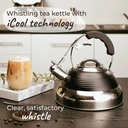 pykal-whistling-tea-kettle-with-icool-handle-and-2-free-infusers-stainless-steel-teapot-red-02-5619ddc71f2fec31f9708df4ba5723a1.jpg