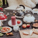 pykal-whistling-tea-kettle-with-icool-handle-and-2-free-infusers-stainless-steel-teapot-red-08-69609e52deab9196de31b246eac4fdb6.jpg