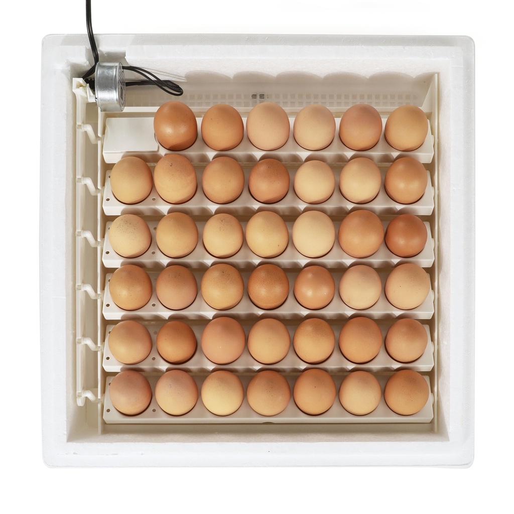 farm-innovators-41-egg-capacity-120v-automatic-egg-turner-3200-06-5724668a-44e8-4430-bc08-d0e618f88820.43b59ec8b2d0aee602476b9c81eb111c.jpg