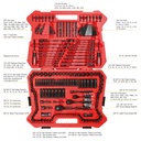 starwork-true-mechanic™-303-piece-mechanics-tool-set-120t-ratcheting-wrench-02-66a7fe03-633b-4c6f-9b27-f242b87413ec.b48c12ebacfdcdb6b610e63bfaf16488.jpg