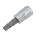 performance-tool-w38802-12pc-star-bit-socket-set-03-b0ef3a1b4f8c3a011dfc090f45414a83.jpg