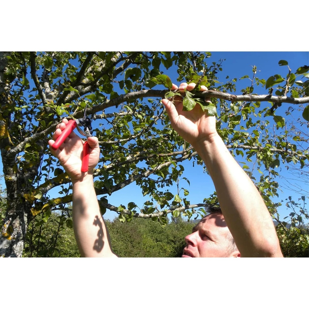 felco-one-handed-ergonomic-compact-pruning-steel-blade-shears-7-8-02-cca93ee896936359b0e70901fd1560bc.jpg