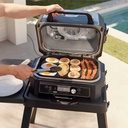 ninja-woodfire-premium-griddle-plate-compatible-with-og800-og900-series-xskgridlxl-03-7ad25782-e99e-4200-80b6-5b1c99312c83.1d71d20df4526c3158b26358fe66d098.jpg