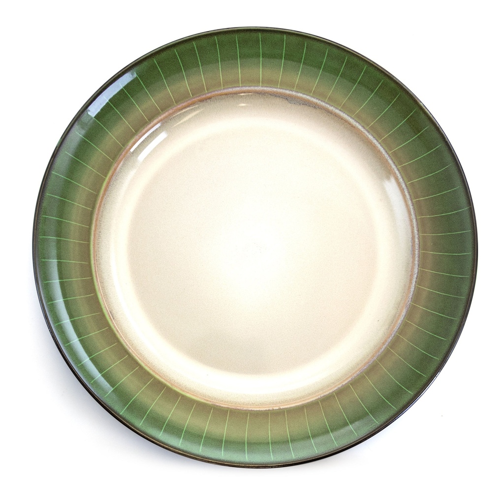 elama-grand-jade-16-piece-stoneware-dinnerware-set-08-4280e5f8-2a7e-411a-afc1-cfb53ac80681_1.b31136b3c8f5f0b2cf035a3b16618eee.jpg