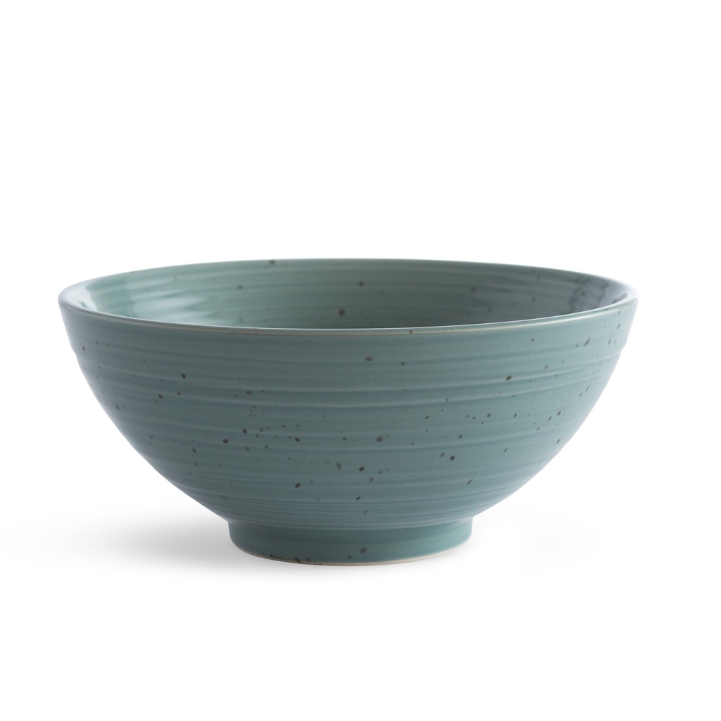 sango-siterra-artists-blend-stoneware-dinnerware-set-16-piece-sage-blue-gray-cream-09-73782018-bbf5-4c5f-a117-4f16b52ab1cd.51a3e0ec3b835457de0a3749bf87be8f.jpg